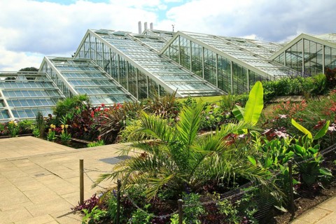 Princess of Wales conservatory glasshouses, Kew Gardens, Royal Botanic Gardens, London, England, UK