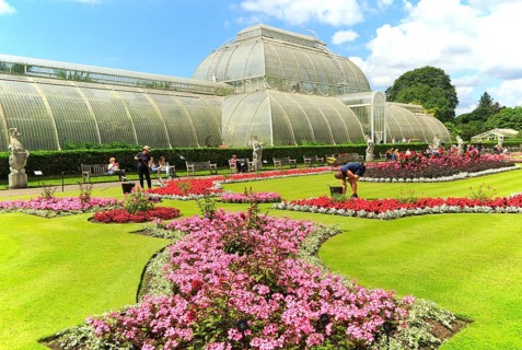 The Palm House at Royal Botanic Gardens, Kew, London, England, UK