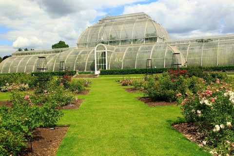 The Palm House at Royal Botanic Gardens, Kew, London, England, UK