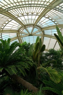 Inside The Palm House at Royal Botanic Gardens, Kew, London, England, UK