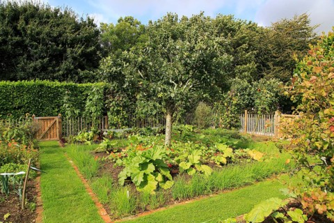 Vegetable garden at Potager Garden, Constantine, Cornwall, England, UK