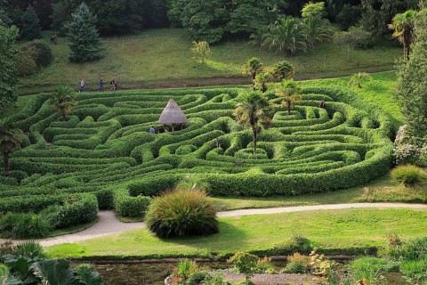People exploring the Maze at Glendurgan Garden, Cornwall, England, UK