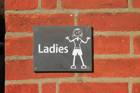 Ladies toilet sign, UK