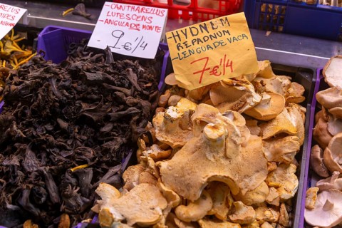 Food stall selling hydnum repandum mushrooms inside central market, Valencia, Spain, Europe
