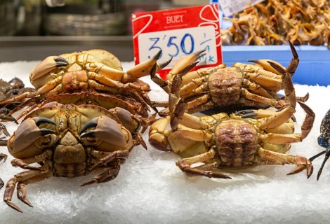 Food stall fishmonger selling fresh fish seafood crabs, central market, Valencia, Spain, Europe
