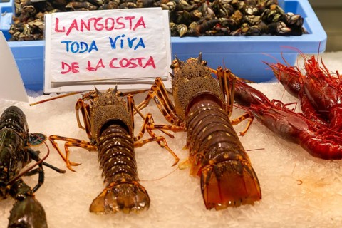 Food stall fishmonger selling fresh fish seafood langoustines, central market, Valencia, Spain,