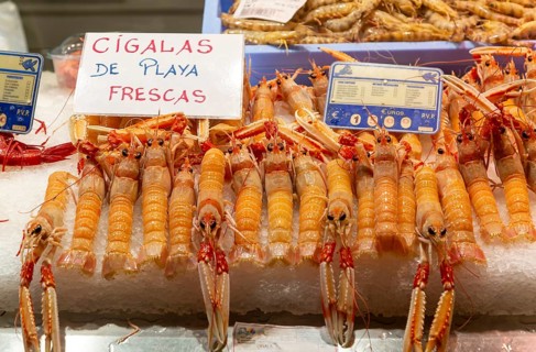 Food stall fishmonger selling fresh fish seafood saltwater crayfish, Cigalas de Playa, central