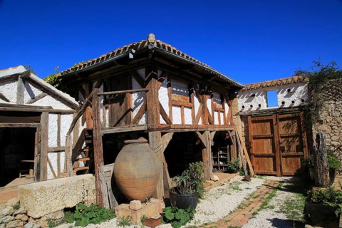 Bodega Museo Maserof restaurant vineyard, near Xalo or Jalon, Marina Alta, Alicante province,