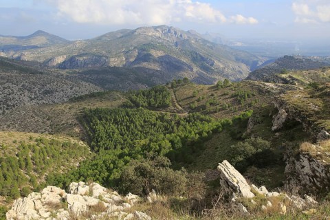 Carboniferous limestone karst scenery, near Benimaurell, Vall de Laguar, Marina Alta, Alicante
