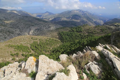 Carboniferous limestone karst scenery, near Benimaurell, Vall de Laguar, Marina Alta, Alicante