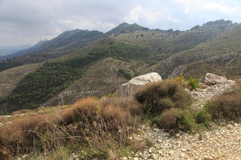 Carboniferous limestone landscape, near Benimaurell, Vall de Laguar, Marina Alta, Alicante