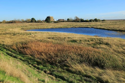 Pools of water between shingle beach and flood defence wall, Shingle Street, Suffolk, England, UK