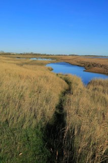 Pools of water behind shingle beach of River Ore, Orford Ness spit to the extreme right, near