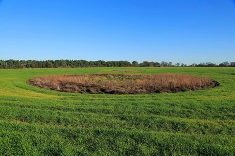 Depression hollow in field, Shottisham Suffolk, England, UK