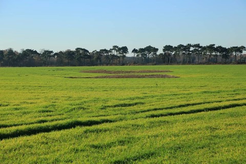 Depression hollow in field, Shottisham Suffolk, England, UK