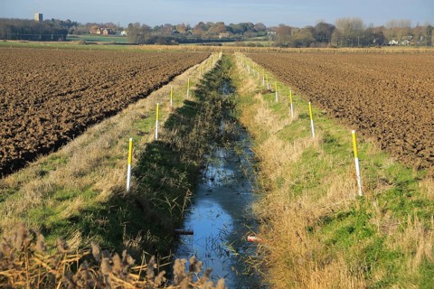 Arable fields and straight drainage ditch reclaimed marshland, Hollesley, Suffolk, England, United