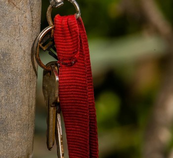 Keys on a keyring with red strap hanging from a metal pole in a wooded area in Guam