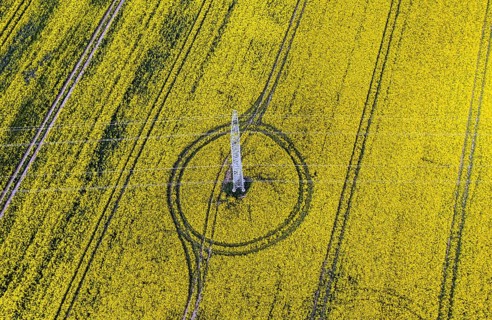 Aerial view of power line with power lines in a rapeseed field, Nauen, 20/05/2022