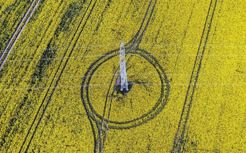 Aerial view of power line with power lines in a rapeseed field, Nauen, 20/05/2022