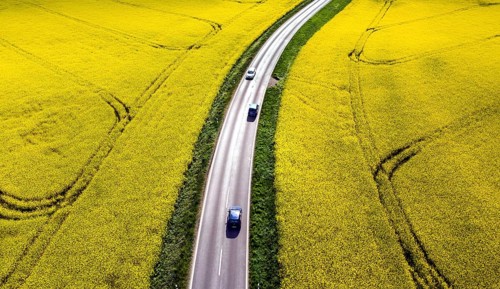 Road with cars next to rape fields, Nauen, 11.05.2022