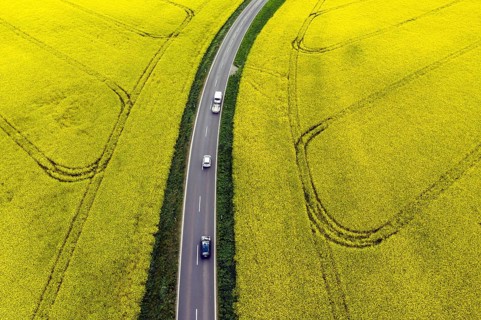 Road with cars next to rape fields, Nauen, 11.05.2022