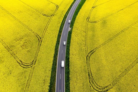 Road with cars next to rape fields, Nauen, 11.05.2022