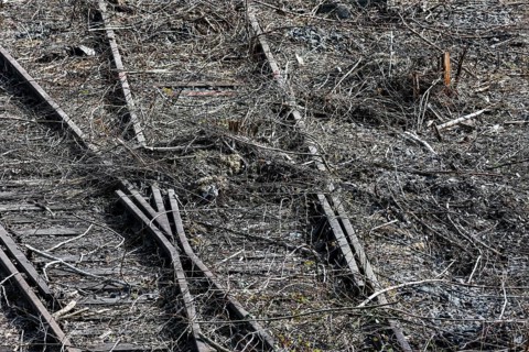 Dortmund, 10.04.2022, Railway tracks in a disused marshalling yard