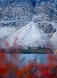 Bow lake Canadian Rocky Mountains, Alberta Canada