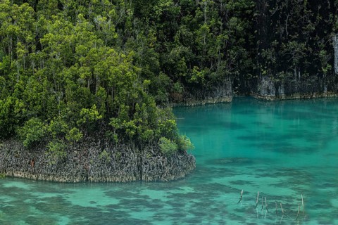Raja Ampat geosite, one of the most beautiful landscapes I have seen in the world. This shot made