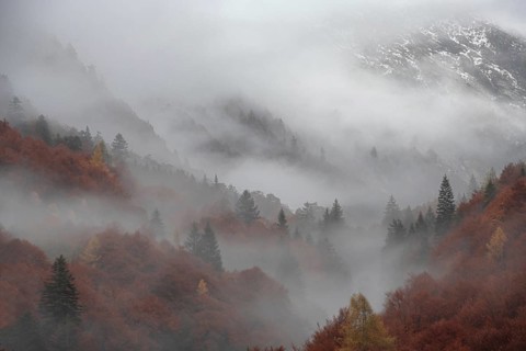 View of autumn colors in the Italian mountains, Valle Vigezzo Italy