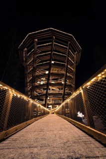 Night-time view of an illuminated wooden walkway and observation tower, Enchanting forest dwellers,