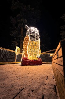 Shimmering light sculpture in the shape of a penguin at night, enchanting forest dwellers, treetop