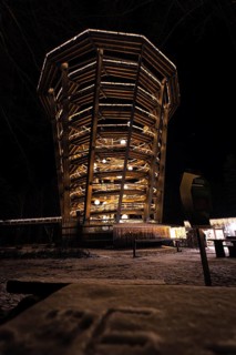 An observation tower illuminated at night from a low perspective, Enchanting forest dwellers,