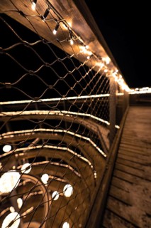 A railing covered with a net of lights against a nocturnal background, Enchanting forest dwellers,