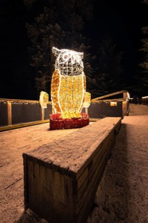 Illuminated owl figure as a Christmas decoration in the dark, magical forest dwellers, treetop walk