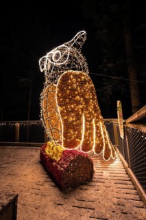 Nocturnal view of a glowing owl sculpture, enchanting forest dwellers, treetop walk Bad Wildbad,