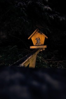 Single bird house illuminated in the dark, magical forest dwellers, treetop walk Bad Wildbad, Black