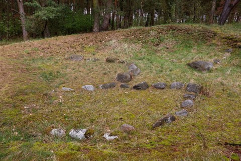 Parts of a Viking camp on the River Peene near Menzlin, Viking settlement known as the Old Camp,
