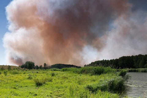 Fire in a 100-hectare grain field on the River Peene in summer, clouds of smoke from a field fire,