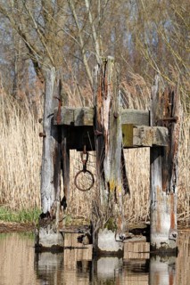 Dilapidated infrastructure on the River Trebel, dilapidated dolphin for mooring ships in the River