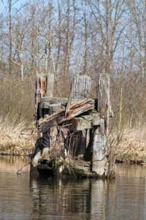 Dilapidated infrastructure on the River Trebel, dilapidated dolphin for mooring ships in the River