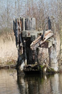 Dilapidated infrastructure on the River Trebel, dilapidated dolphin for mooring ships in the River