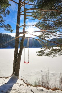 Swing for children on a pine tree, on a frozen lake in the Alps, Bavaria, Germany, Europe