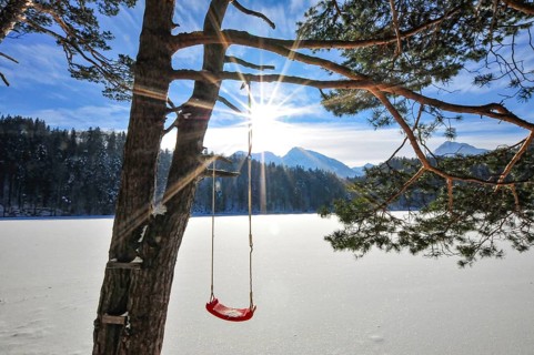 Swing for children on a pine tree, on a frozen lake in the Alps, Bavaria, Germany, Europe
