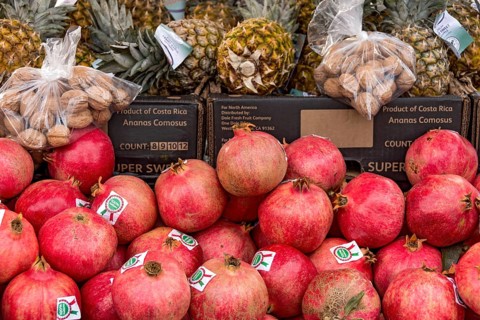 Pomegranates from Italy on offer, fruit, market stall, folk festival Kalter Markt, Kaale Määrt,