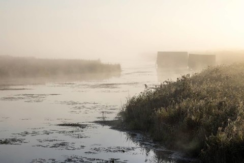 Foggy atmosphere at Federsee lake