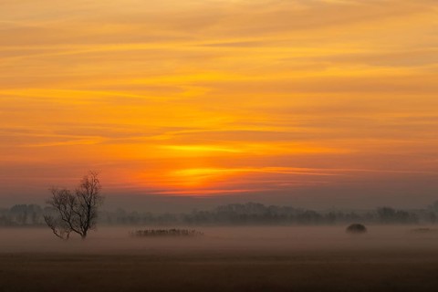 Sunrise at Federsee lake