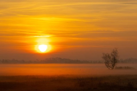 Sunrise at Federsee Baden-Württemberg