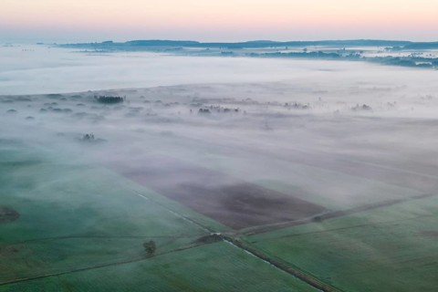Morning atmosphere at Federsee lake