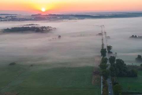 Morning atmosphere at Federsee lake